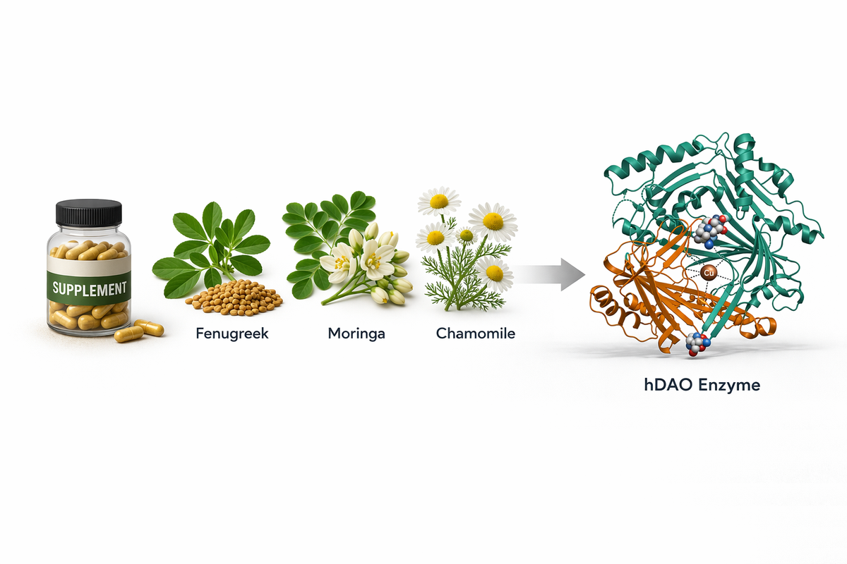 hDAO breastfeeding-supplement docking graphical abstract