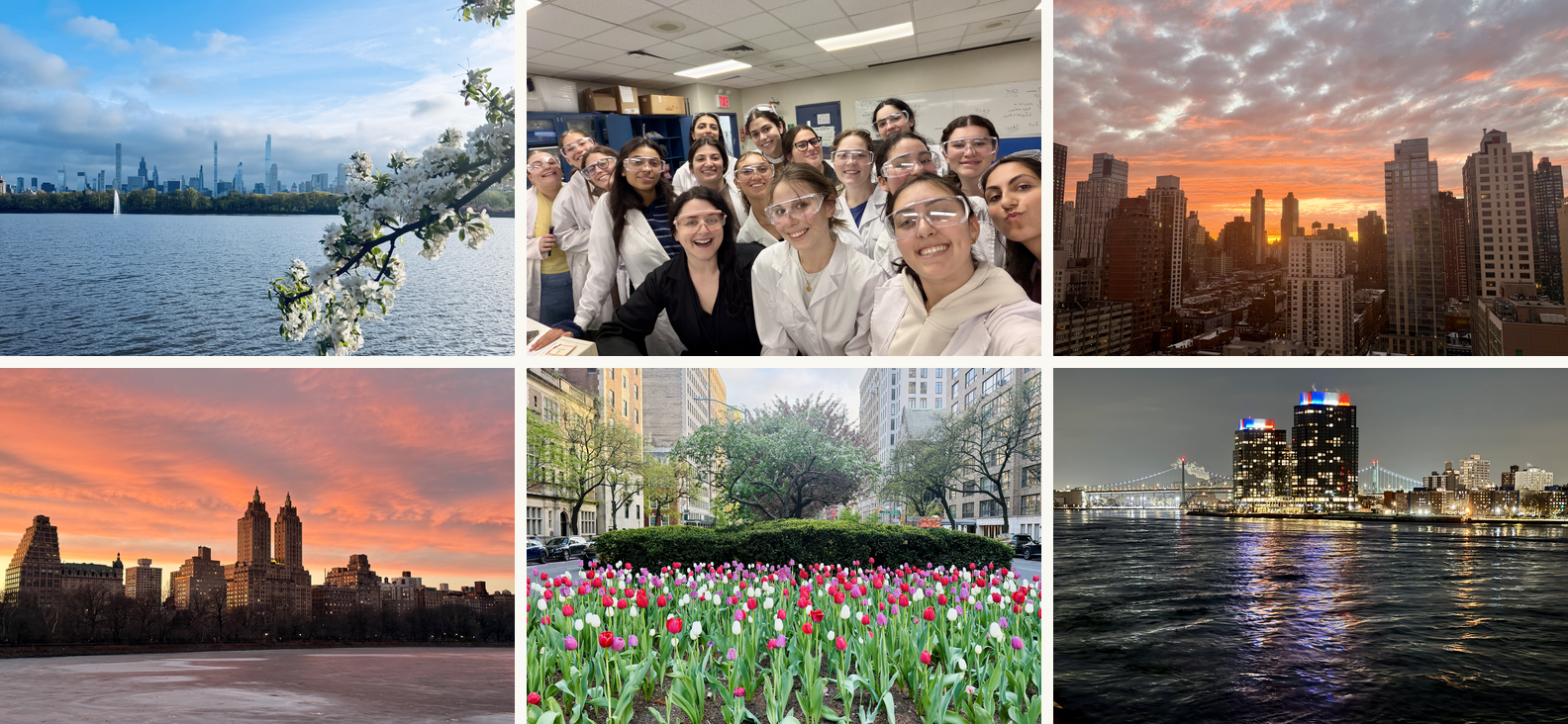New York City and the classroom